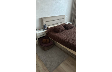 Плед з подушками + плед для песика