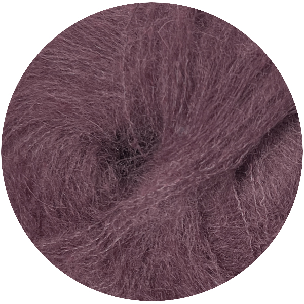 Антарес 48 італійська слива Ярна 