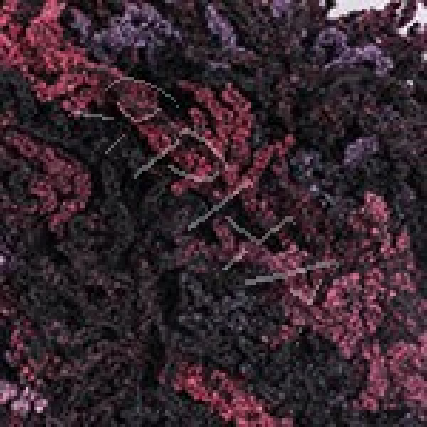 ОЛаЛа 21828  YarnArt (ЯрнАрт)