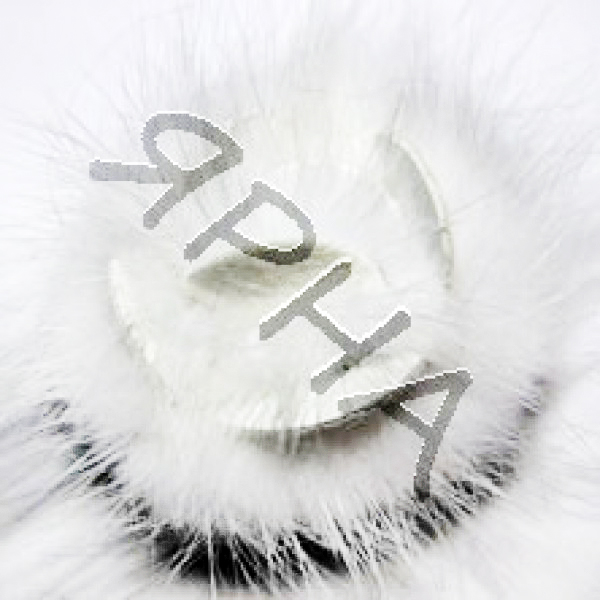 Трояндочка норка  біла Drakon